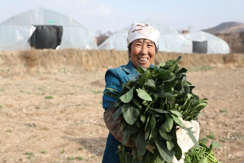 洪河村群眾的心里話：脫貧致富，計(jì)劃得先行