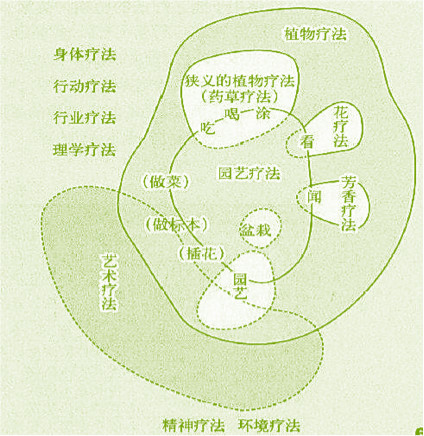 【防疫科普】如何利用園藝療法保持復工后身心健康？
