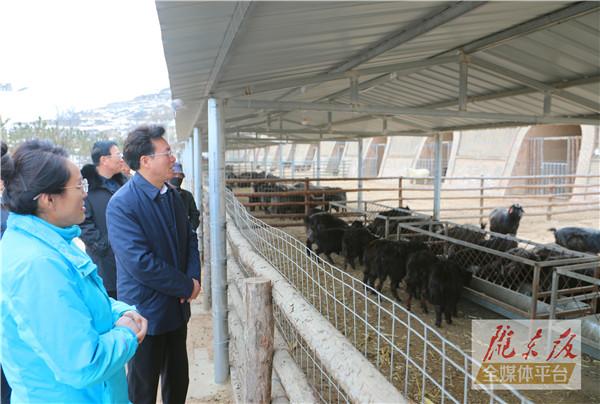 贠建民在鎮(zhèn)原縣督查脫貧攻堅等工作時強調(diào) 持續(xù)用力彌補短板鞏固提升脫貧成果 拉開架勢構建產(chǎn)業(yè)體系促進群眾增收