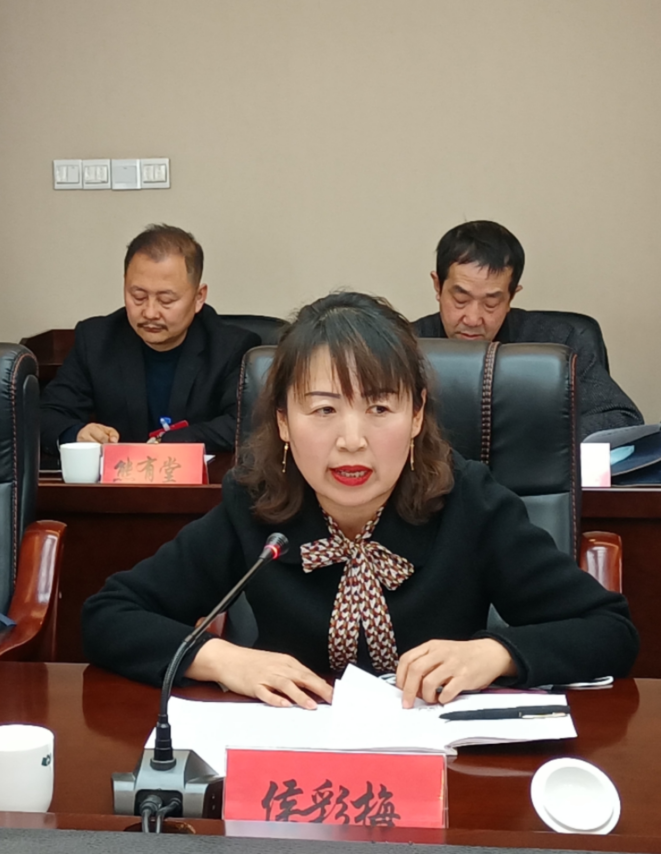 侯彩梅委員在討論發(fā)言時就規(guī)范農(nóng)村中小學(xué)體育教學(xué)提出了建議。