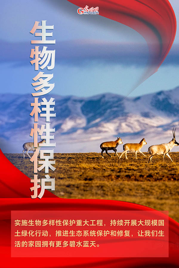 海報(bào)| 2021年政府工作報(bào)告，提到這些生態(tài)環(huán)保關(guān)鍵詞