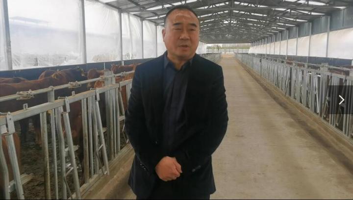 【脫貧攻堅我來見證】項祖地：讓“早勝?！逼放谱叱龈拭C  走向全國