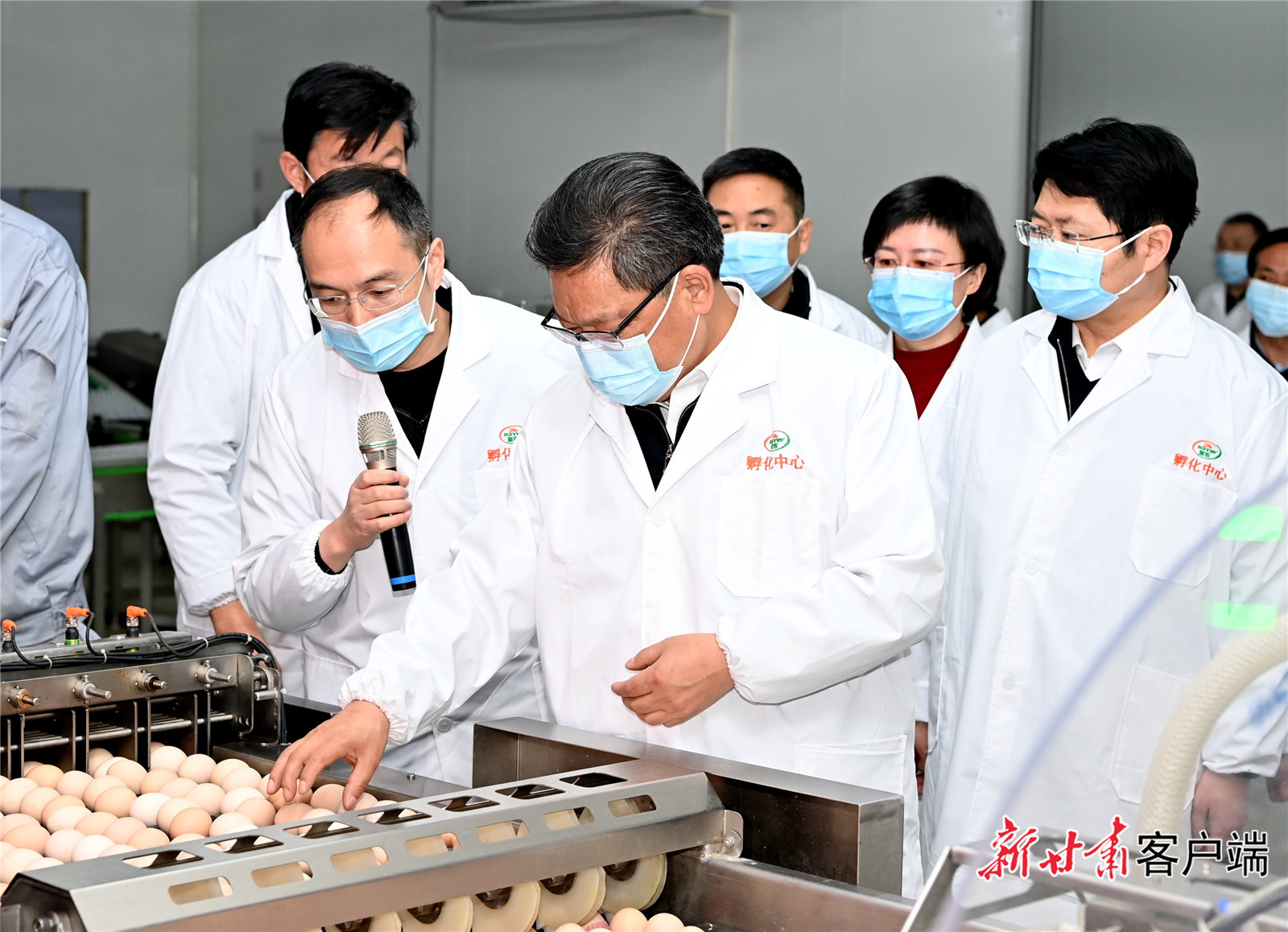 任振鶴在慶陽調(diào)研時強調(diào)：用新思想指引新征程，以新發(fā)展書寫新答卷，真抓實干推動新時代革命老區(qū)振興發(fā)展
