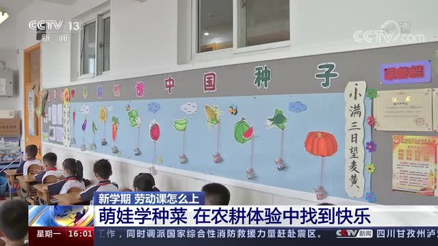 新學(xué)期，勞動(dòng)課怎么上？央視《新聞直播間》關(guān)注北師大慶陽附校農(nóng)耕體驗(yàn)課