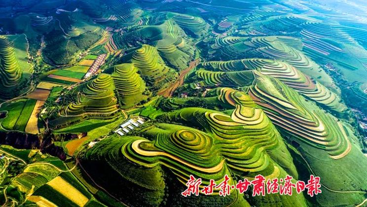 “羊”名立萬(wàn)正當(dāng)時(shí)——環(huán)縣念羊經(jīng)、興羊業(yè)、發(fā)羊財(cái)促進(jìn)鄉(xiāng)村振興發(fā)展