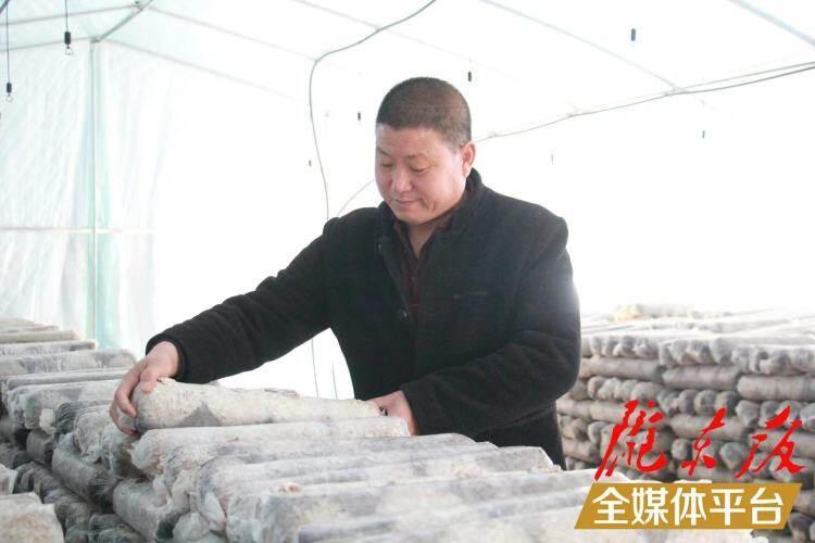 西峰區(qū)后官寨鎮(zhèn)司官寨村食用菌基地，工作人員在整理菌棒。本報記者 南力 攝