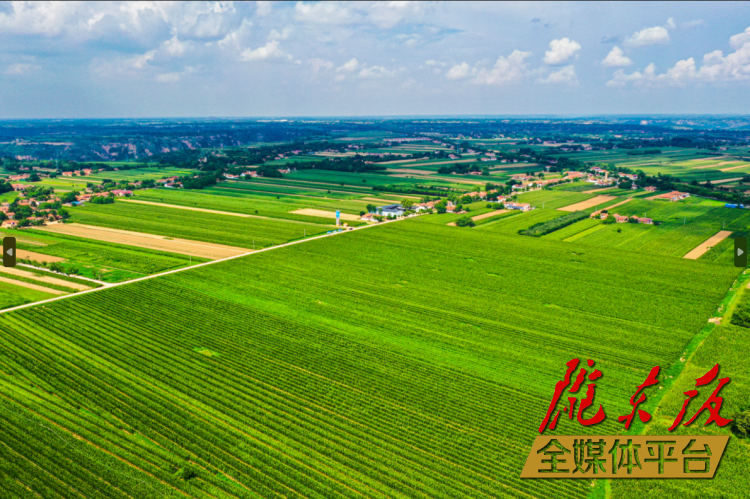 發(fā)展三元雙向循環(huán)模式 構(gòu)建現(xiàn)代農(nóng)業(yè)新格局——慶陽市著力推進(jìn)農(nóng)業(yè)農(nóng)村高質(zhì)量發(fā)展綜述