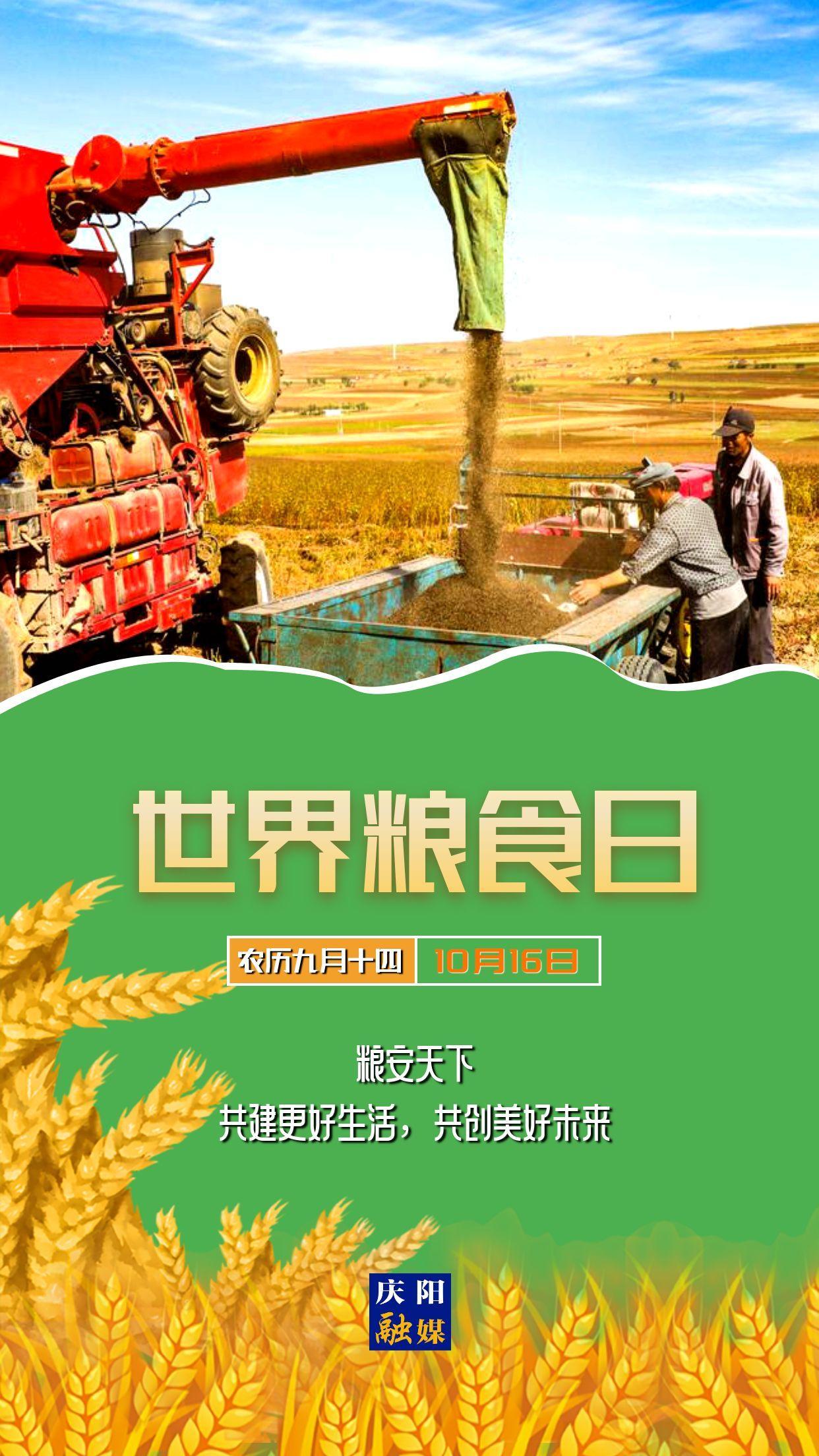 【微海報】世界糧食日 | 糧安天下，共建更好生活，共創(chuàng)美好未來