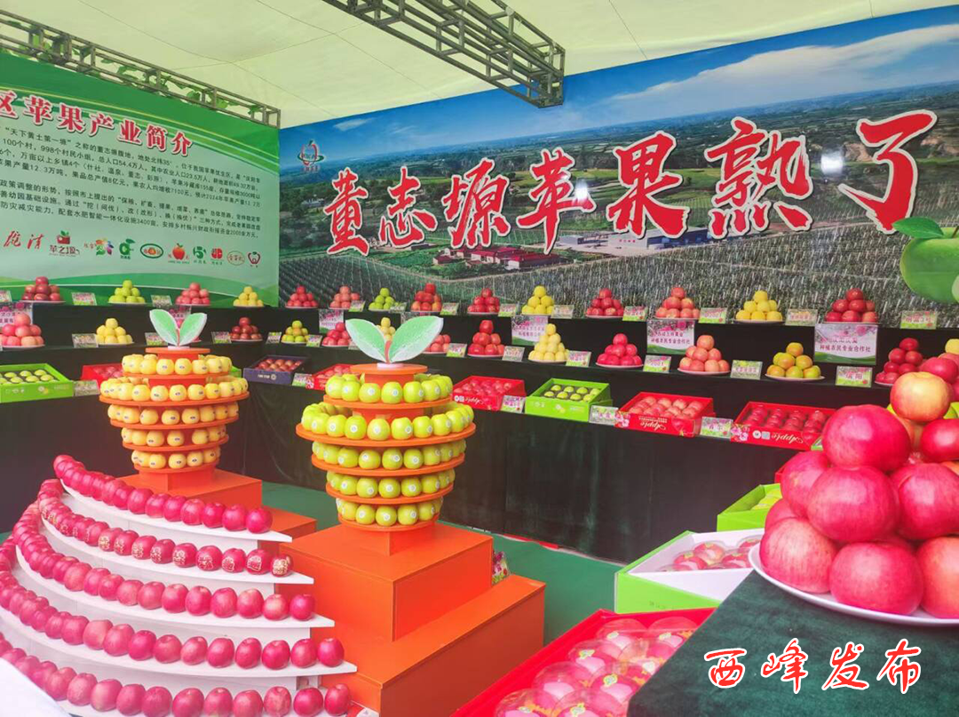 品鑒營銷展特色 學(xué)習(xí)交流促發(fā)展——西峰區(qū)組團參加2024年中國蘋果年會暨慶陽蘋果商貿(mào)洽談會
