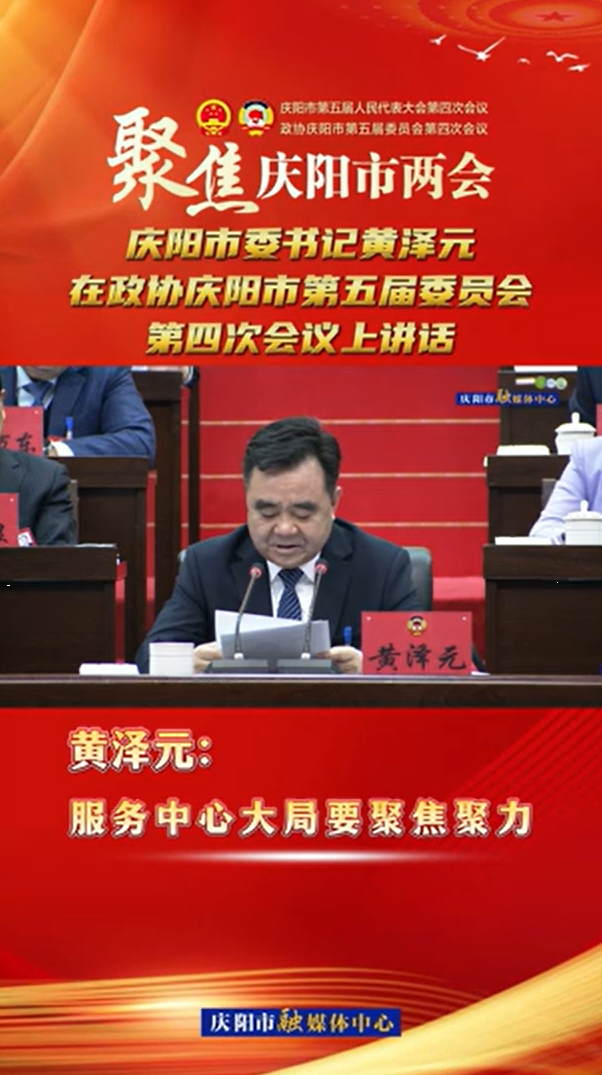 兩會V視(20) | 黃澤元：服務中心大局要聚焦聚力