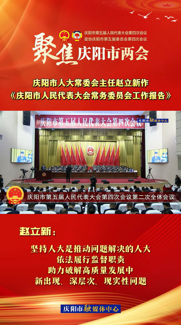 兩會V視(29)丨趙立新：堅持人大是推動問題解決的人大，依法履行監(jiān)督職責(zé)，助力破解高質(zhì)量發(fā)展中新出現(xiàn)、深層次、現(xiàn)實性問題