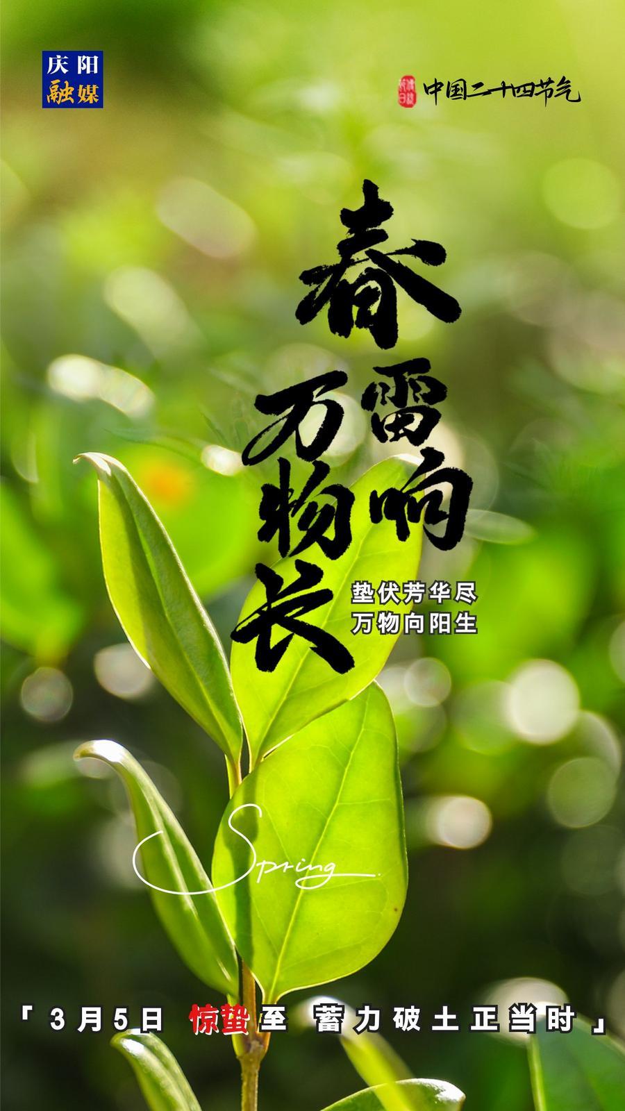 【微海報】二十四節(jié)氣丨驚蟄至，蓄力破土正當(dāng)時