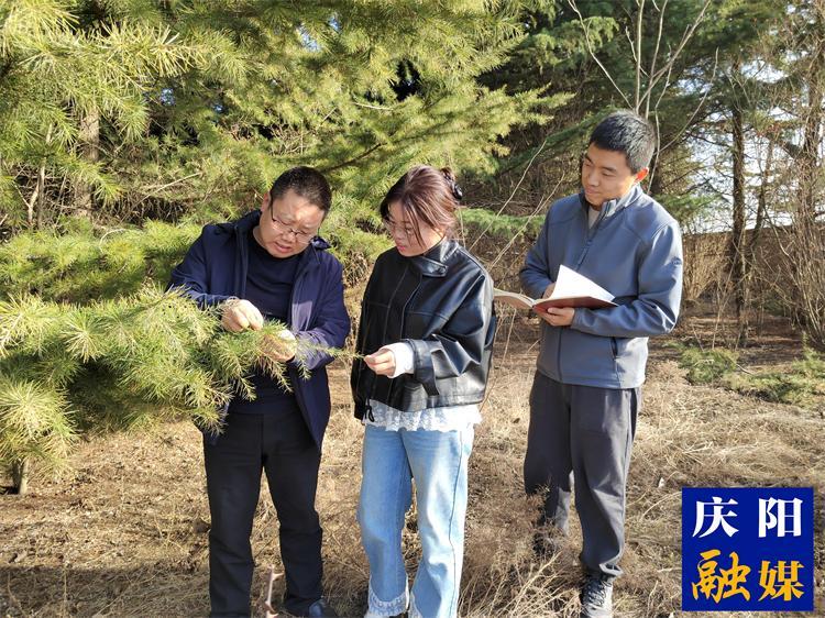 【報效祖國 建功西部】心懷生態(tài)夢  追“綠”寫忠誠  ——記慶陽市林科所林草濕荒綜合治理研究室主任徐建民