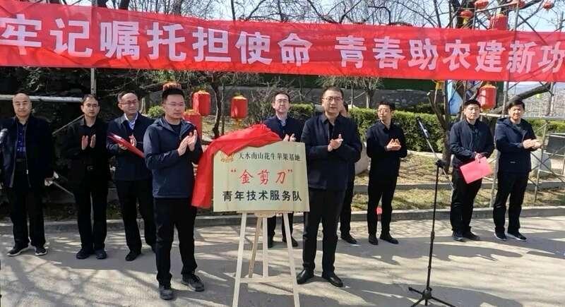 甘肅天水：“金剪刀”服務(wù)隊(duì)助力花牛蘋果提質(zhì)增效