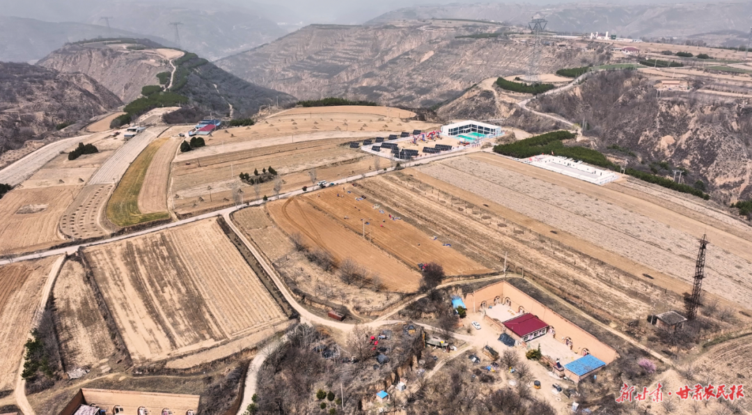 華池：黃精種植激活“天然藥庫(kù)”新活力